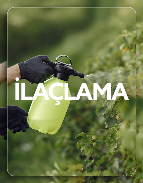 ilaçlama